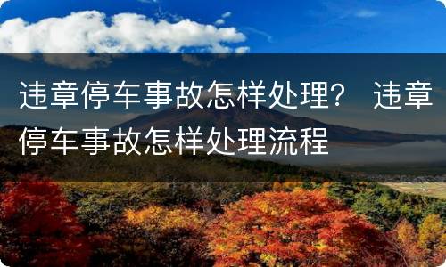 违章停车事故怎样处理？ 违章停车事故怎样处理流程