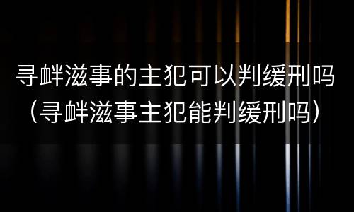 寻衅滋事的主犯可以判缓刑吗（寻衅滋事主犯能判缓刑吗）