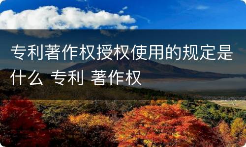 专利著作权授权使用的规定是什么 专利 著作权
