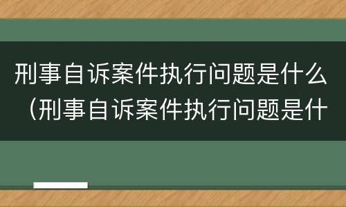 刑事自诉案件执行问题是什么（刑事自诉案件执行问题是什么意思）