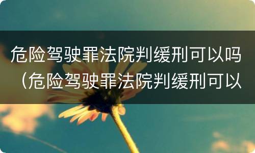 危险驾驶罪法院判缓刑可以吗（危险驾驶罪法院判缓刑可以吗）