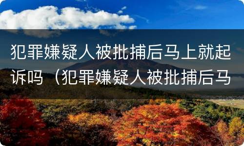犯罪嫌疑人被批捕后马上就起诉吗（犯罪嫌疑人被批捕后马上就起诉吗怎么办）