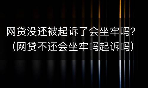 网贷没还被起诉了会坐牢吗？（网贷不还会坐牢吗起诉吗）
