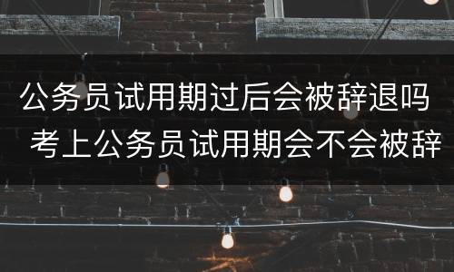 公务员试用期过后会被辞退吗 考上公务员试用期会不会被辞退