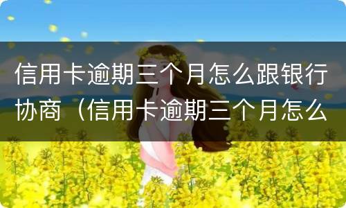 信用卡逾期三个月怎么跟银行协商（信用卡逾期三个月怎么跟银行协商分期还款）