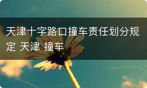 天津十字路口撞车责任划分规定 天津 撞车