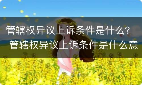 管辖权异议上诉条件是什么？ 管辖权异议上诉条件是什么意思