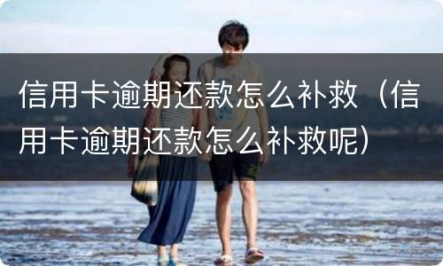 信用卡逾期还款怎么补救（信用卡逾期还款怎么补救呢）