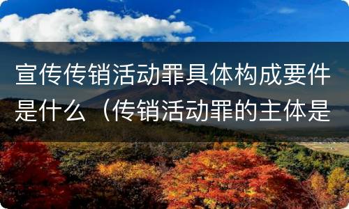 宣传传销活动罪具体构成要件是什么（传销活动罪的主体是什么）