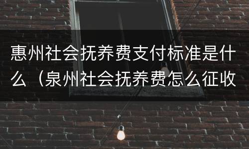 惠州社会抚养费支付标准是什么（泉州社会抚养费怎么征收）