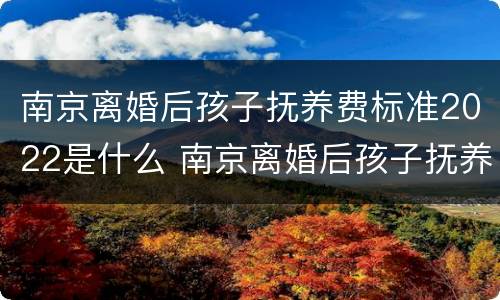 南京离婚后孩子抚养费标准2022是什么 南京离婚后孩子抚养费标准2022是什么样的