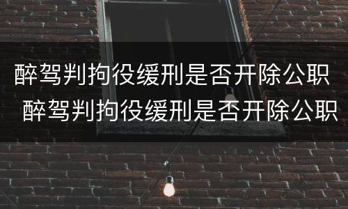 醉驾判拘役缓刑是否开除公职 醉驾判拘役缓刑是否开除公职人员
