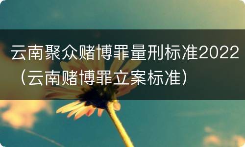 云南聚众赌博罪量刑标准2022（云南赌博罪立案标准）