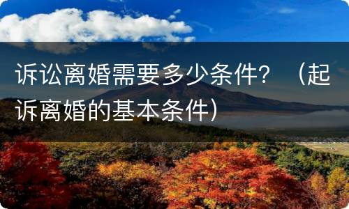 诉讼离婚需要多少条件？（起诉离婚的基本条件）