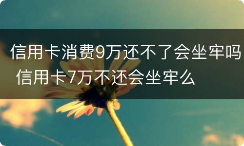 信用卡消费9万还不了会坐牢吗 信用卡7万不还会坐牢么
