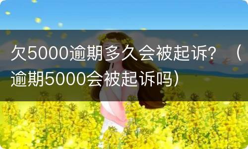 欠5000逾期多久会被起诉？（逾期5000会被起诉吗）