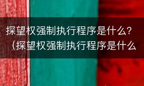 探望权强制执行程序是什么？（探望权强制执行程序是什么法律）