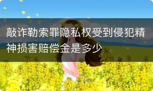 敲诈勒索罪隐私权受到侵犯精神损害赔偿金是多少