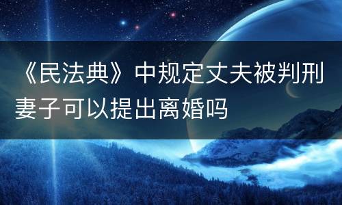 《民法典》中规定丈夫被判刑妻子可以提出离婚吗