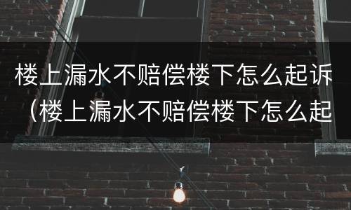 楼上漏水不赔偿楼下怎么起诉（楼上漏水不赔偿楼下怎么起诉他）