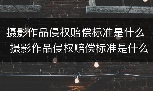 摄影作品侵权赔偿标准是什么 摄影作品侵权赔偿标准是什么样的