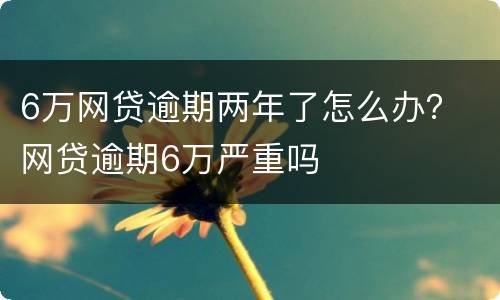 6万网贷逾期两年了怎么办？ 网贷逾期6万严重吗