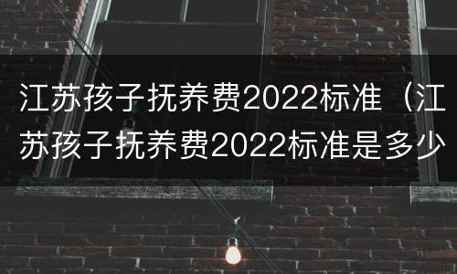 江苏孩子抚养费2022标准（江苏孩子抚养费2022标准是多少）