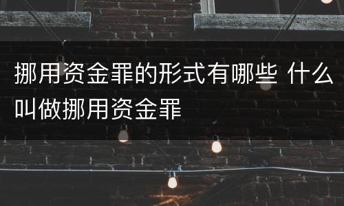 挪用资金罪的形式有哪些 什么叫做挪用资金罪