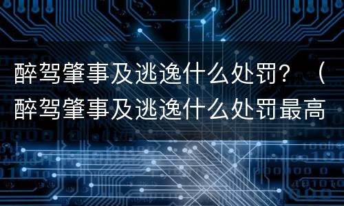 醉驾肇事及逃逸什么处罚？（醉驾肇事及逃逸什么处罚最高）