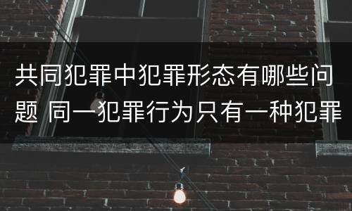 共同犯罪中犯罪形态有哪些问题 同一犯罪行为只有一种犯罪形态