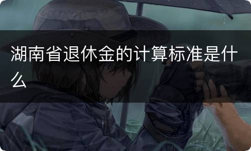 湖南省退休金的计算标准是什么