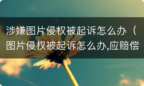 涉嫌图片侵权被起诉怎么办（图片侵权被起诉怎么办,应赔偿多少钱个人承担）