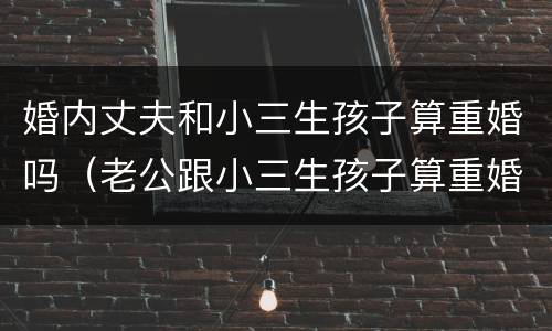 婚内丈夫和小三生孩子算重婚吗（老公跟小三生孩子算重婚吗）