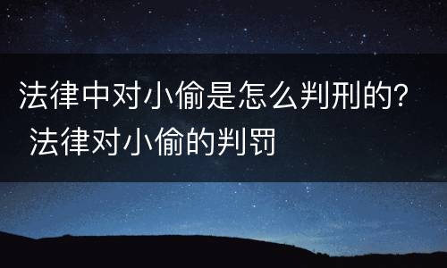 法律中对小偷是怎么判刑的？ 法律对小偷的判罚