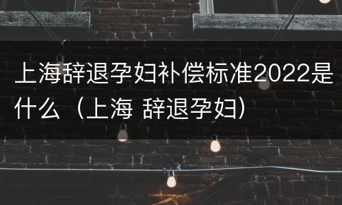 上海辞退孕妇补偿标准2022是什么（上海 辞退孕妇）