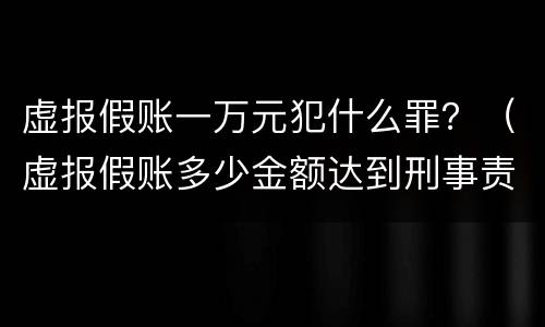 虚报假账一万元犯什么罪？（虚报假账多少金额达到刑事责任）
