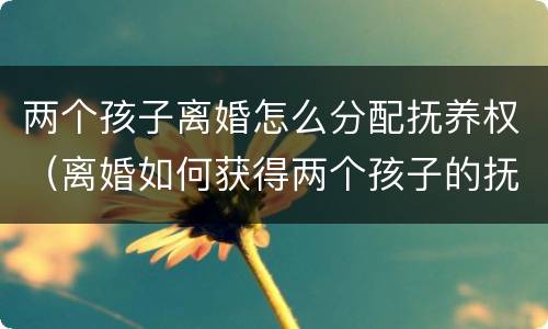 两个孩子离婚怎么分配抚养权（离婚如何获得两个孩子的抚养权）