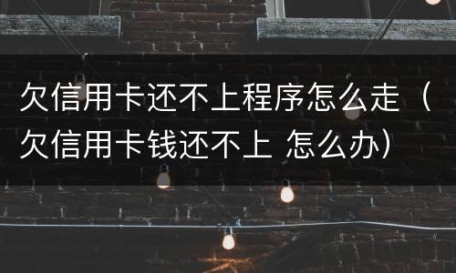 欠信用卡还不上程序怎么走（欠信用卡钱还不上 怎么办）