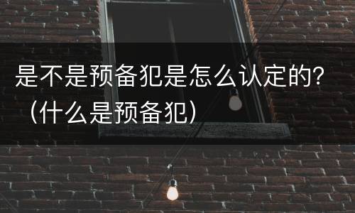 是不是预备犯是怎么认定的？（什么是预备犯）