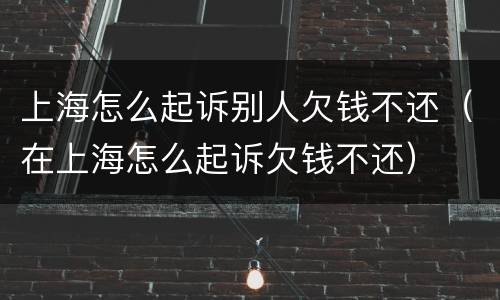 上海怎么起诉别人欠钱不还（在上海怎么起诉欠钱不还）