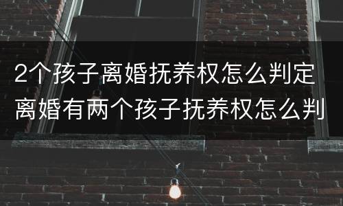 2个孩子离婚抚养权怎么判定 离婚有两个孩子抚养权怎么判定