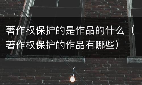 著作权保护的是作品的什么（著作权保护的作品有哪些）