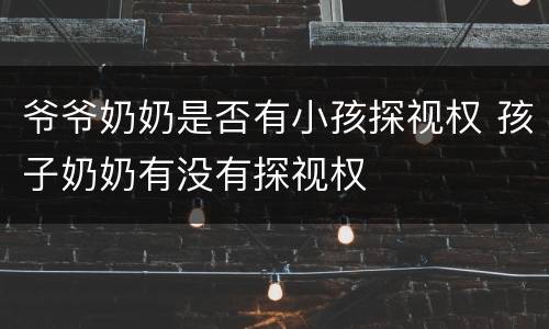 爷爷奶奶是否有小孩探视权 孩子奶奶有没有探视权