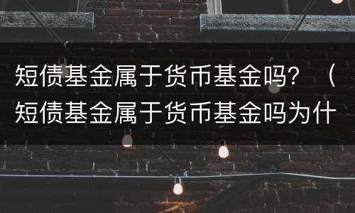 短债基金属于货币基金吗？（短债基金属于货币基金吗为什么）