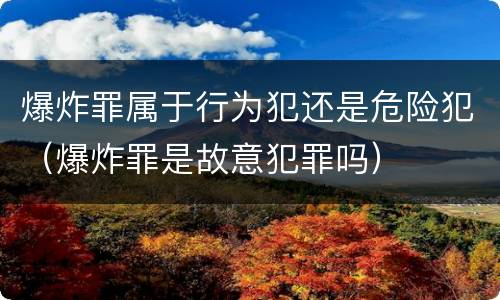 爆炸罪属于行为犯还是危险犯（爆炸罪是故意犯罪吗）