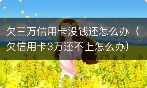欠三万信用卡没钱还怎么办（欠信用卡3万还不上怎么办）