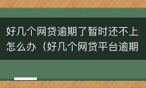 好几个网贷逾期了暂时还不上怎么办（好几个网贷平台逾期还不上怎么办）