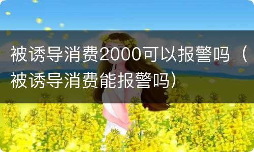 被诱导消费2000可以报警吗（被诱导消费能报警吗）