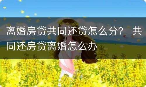 离婚房贷共同还贷怎么分？ 共同还房贷离婚怎么办