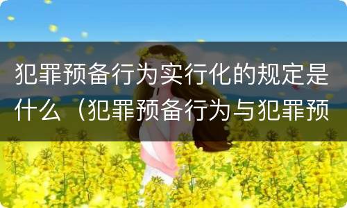 犯罪预备行为实行化的规定是什么（犯罪预备行为与犯罪预备形态）